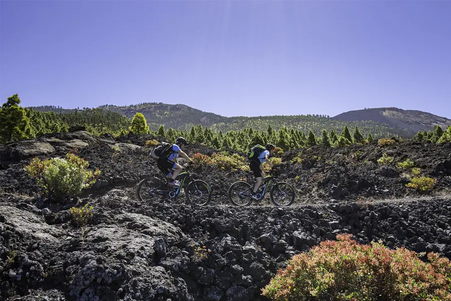 Homepage Galerie Mountainbike