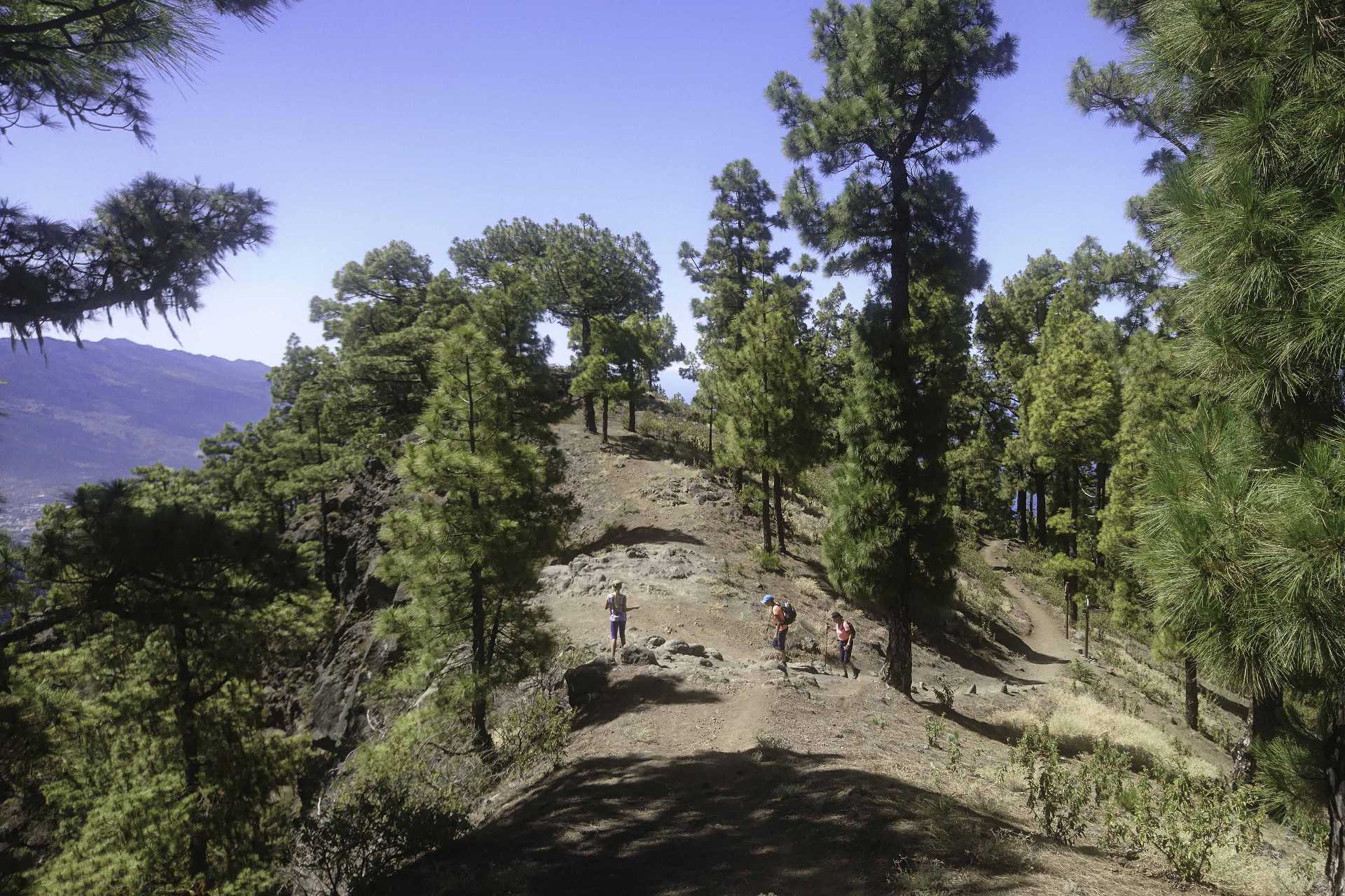 GR 131 Torre del Time